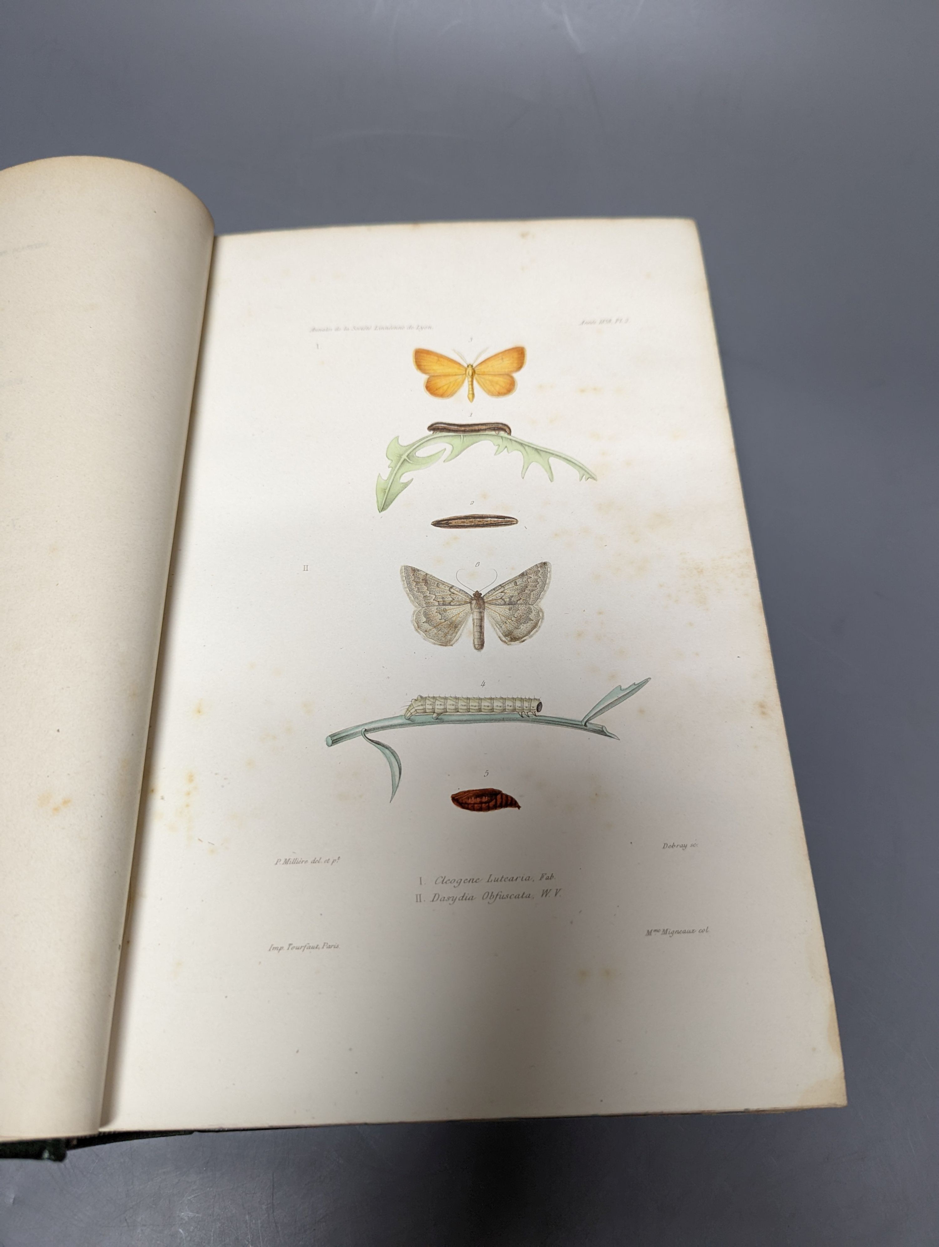 Milliere, P - Iconographie et Description de Chenilles et Lepidopteres ... vols 1 and 2 (ex 3) bound together in one vol. 84 hand-coloured plates; contemp. green half morocco and